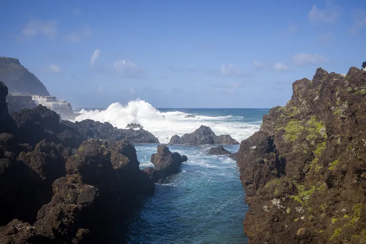Dolfijnen voor de kust van Madeira
