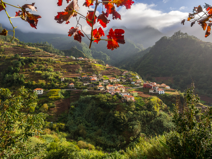 Groen landschap op Madeira in oktober