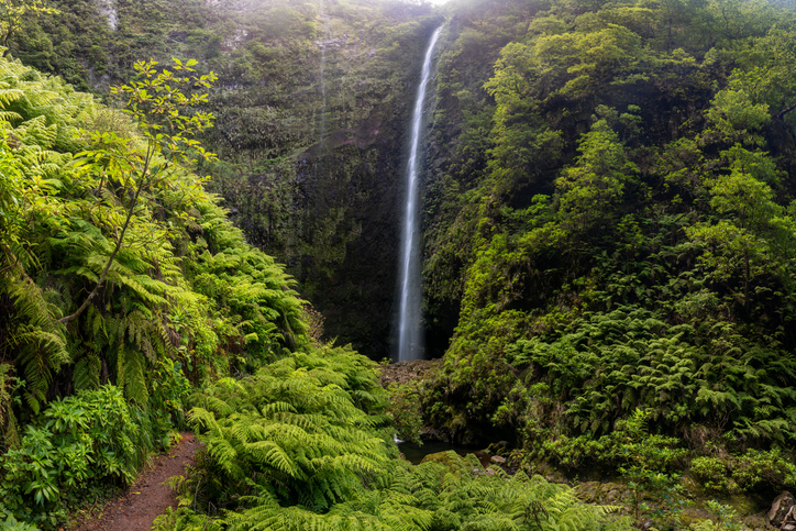 Waterval langs een wandelroute op Madeira in oktober