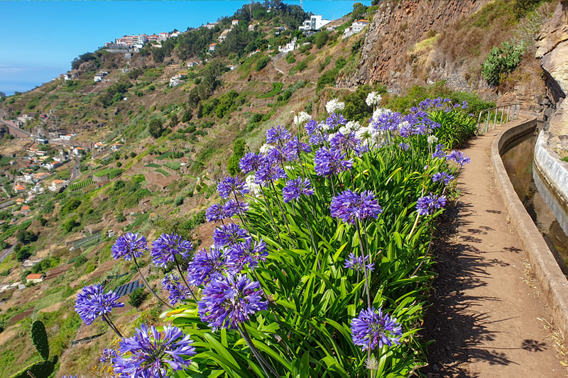Quinta Grande Levada do Norte wandeling op Madeira