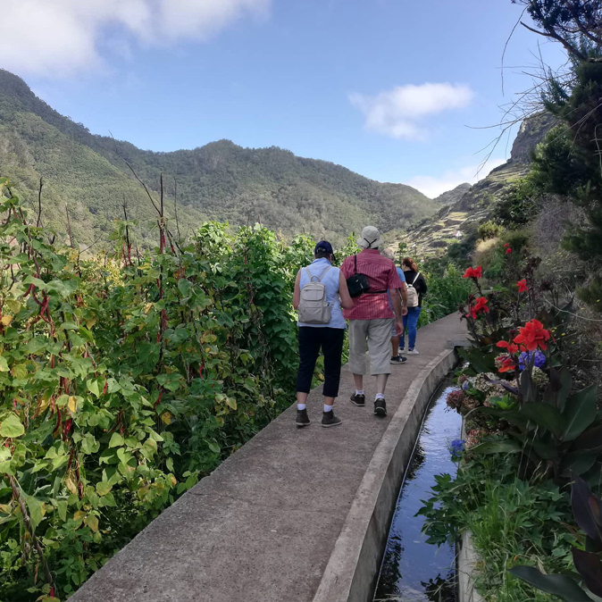 Bloeiende natuur in Mimosa Valley op Madeira in de lente