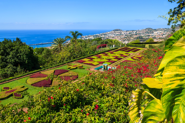 Tropische tuin van Monte Palace boven Funchal
