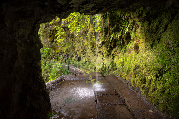 Donkere tunnel langs de levada van Caldeirão Verde