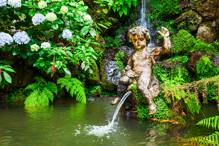 Vijver en tropische beplanting in Monte Palace op Madeira