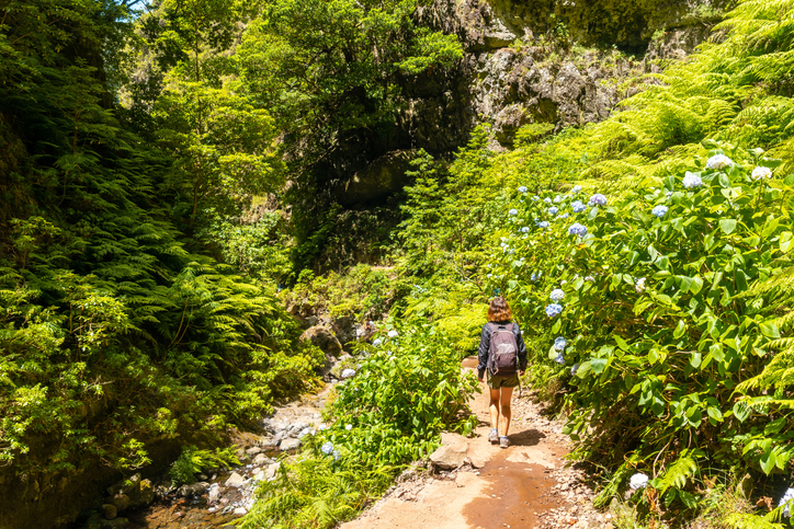 Wandelaar langs een levada en waterval op Madeira