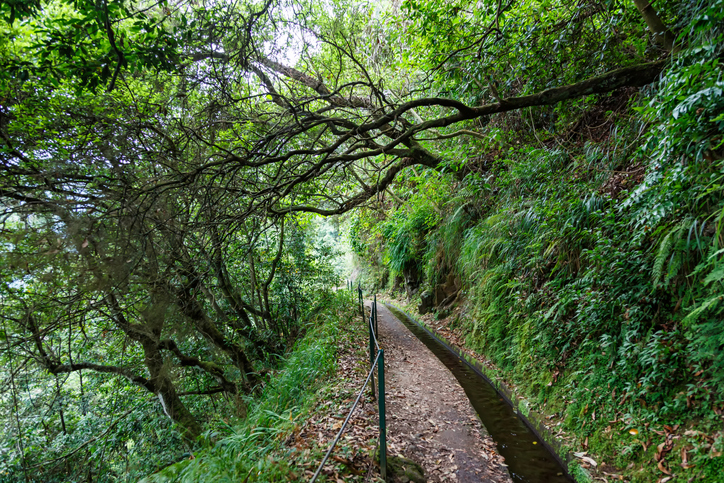 Wandelpad langs Levada do Rei in het groene noorden van Madeira