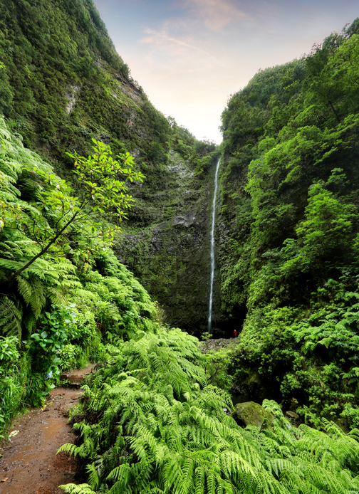 Hoge waterval aan het einde van de Caldeirão Verde wandeling
