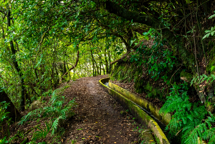 Madeira Natuur