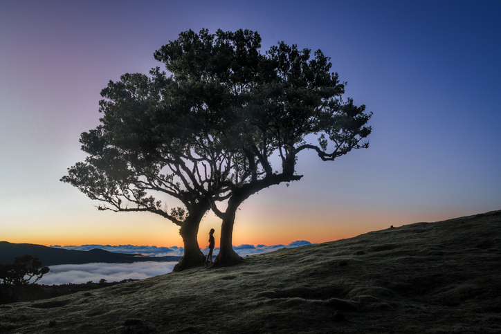 Madeira zon