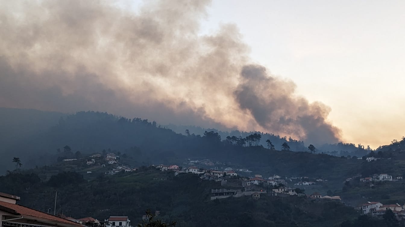 bosbrand madeira