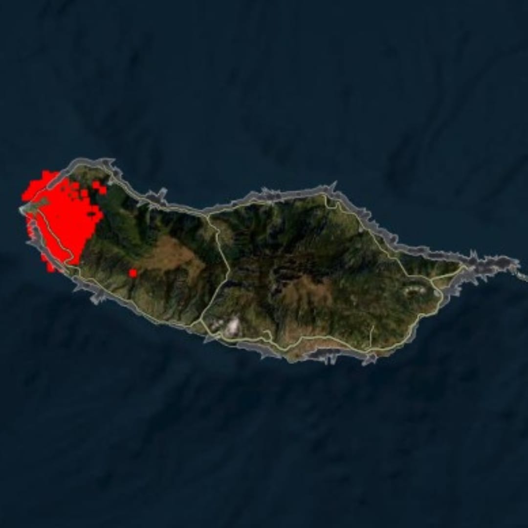 bosbrand madeira