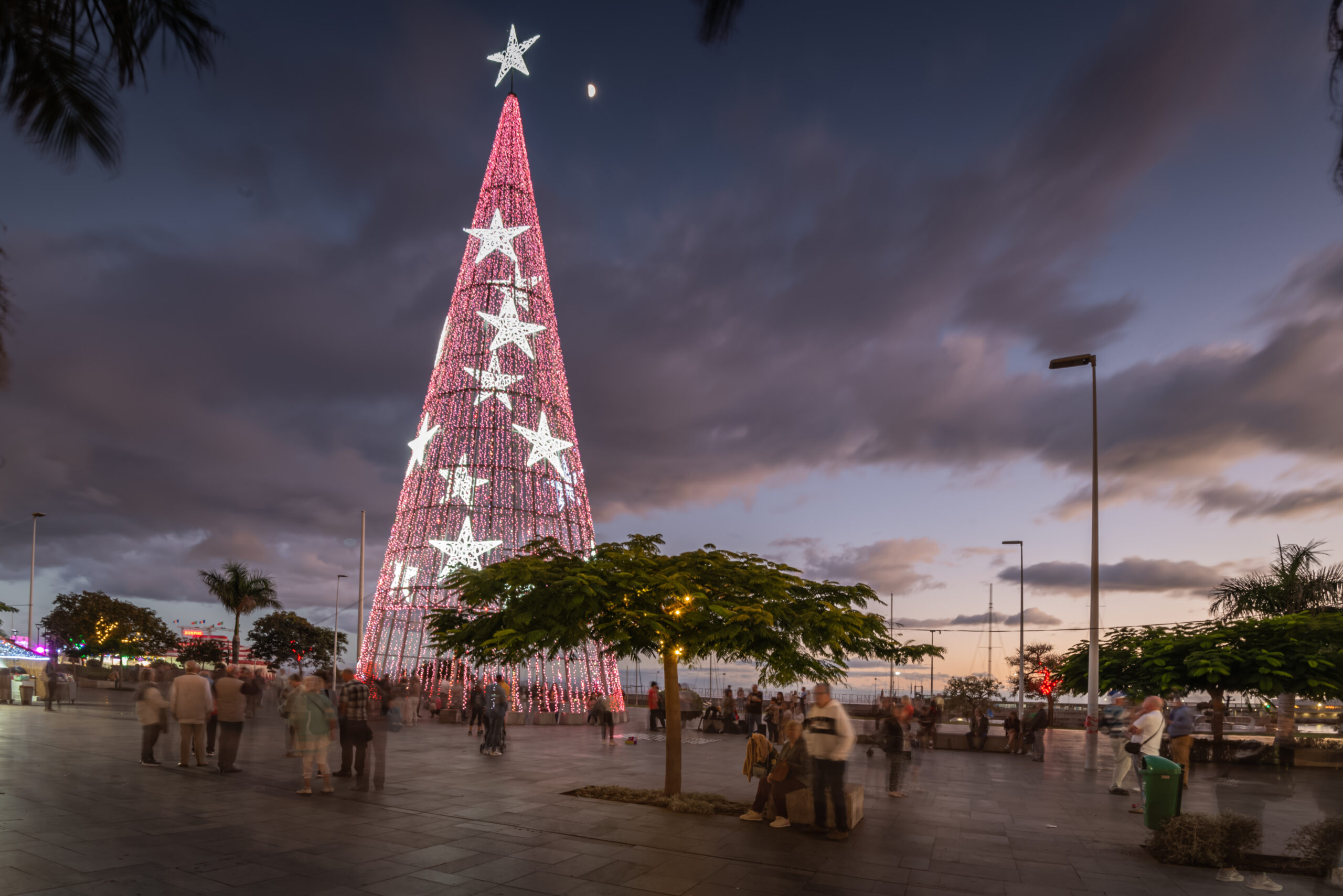 kerst madeira