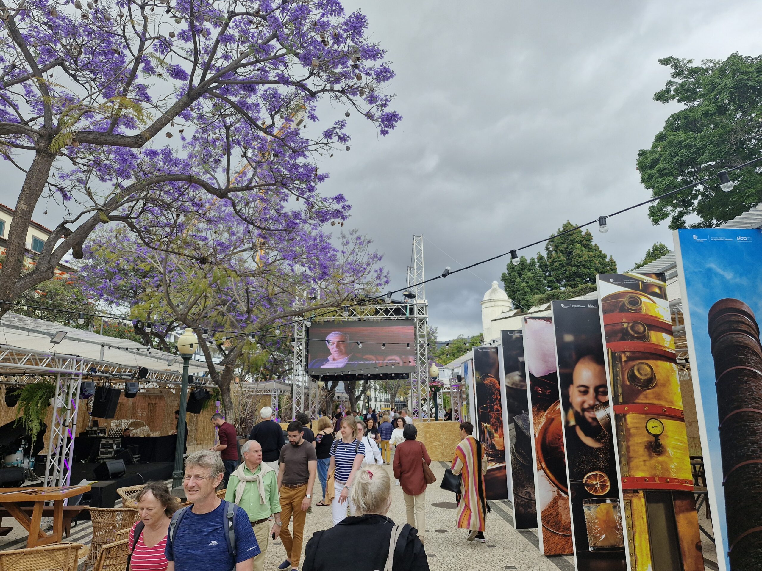 Madeirese landbouwrum tijdens het Rumfestival in Funchal