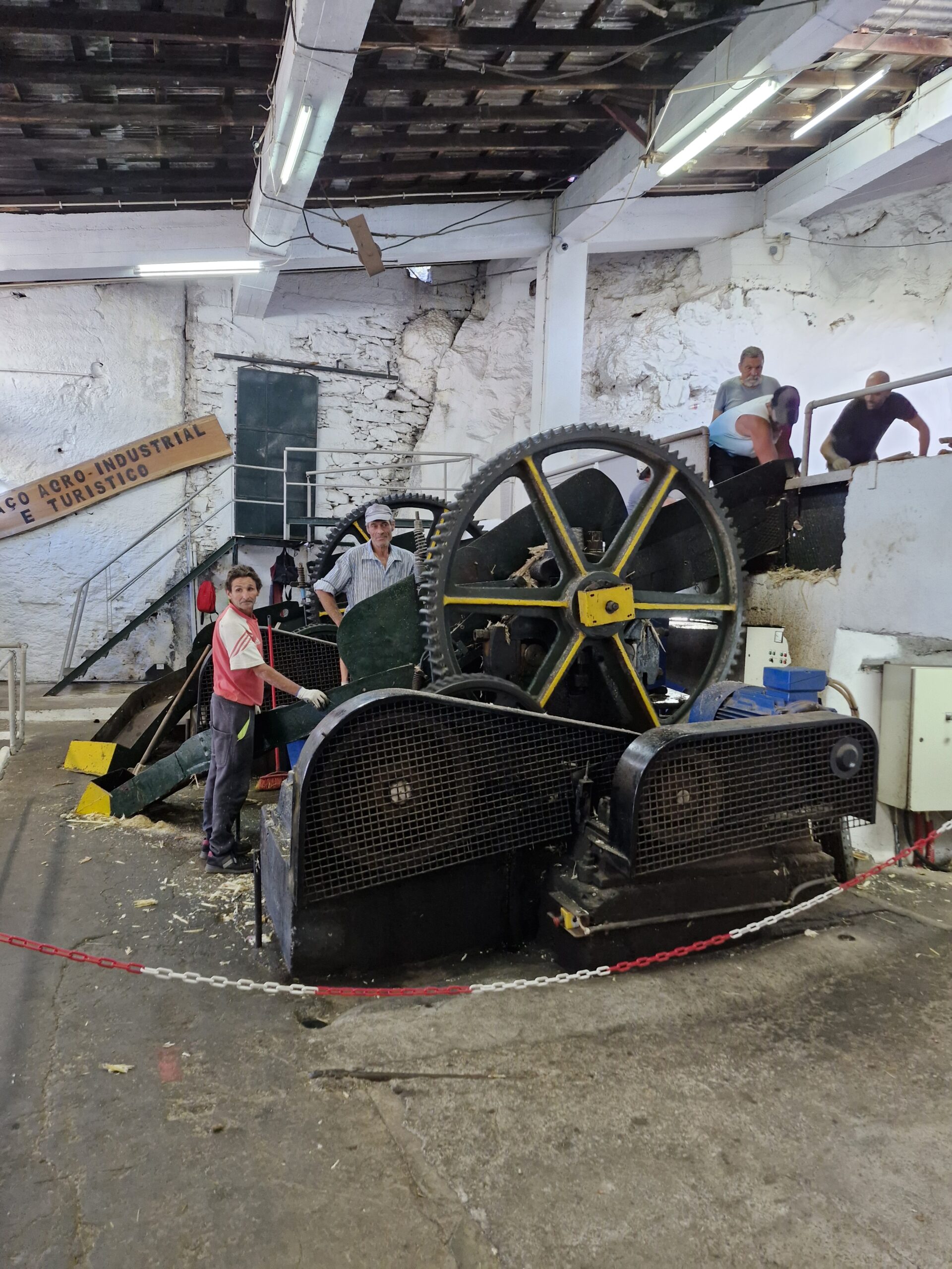 Machine perst vers suikerriet in een fabriek op Madeira