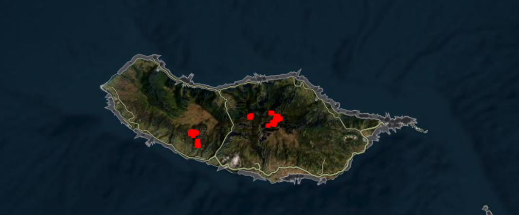 Bosbrand Madeira 2024
