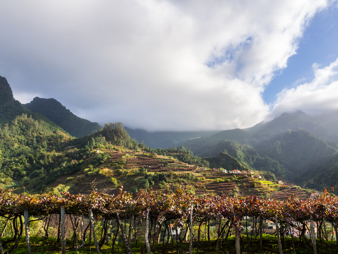 Groen berglandschap op Madeira tijdens een zonnige dag in januari