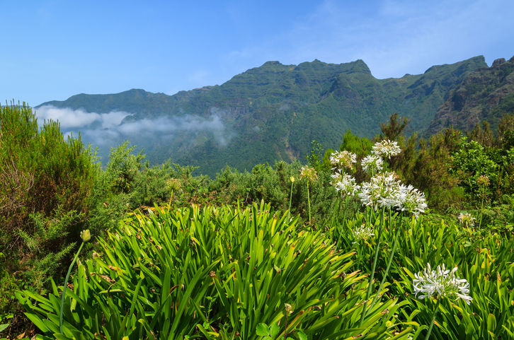 Groen berglandschap op Madeira tijdens een zonnige dag in maart
