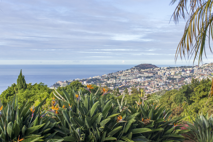 Bloeiende tuin op Madeira tijdens een zonnige dag in april