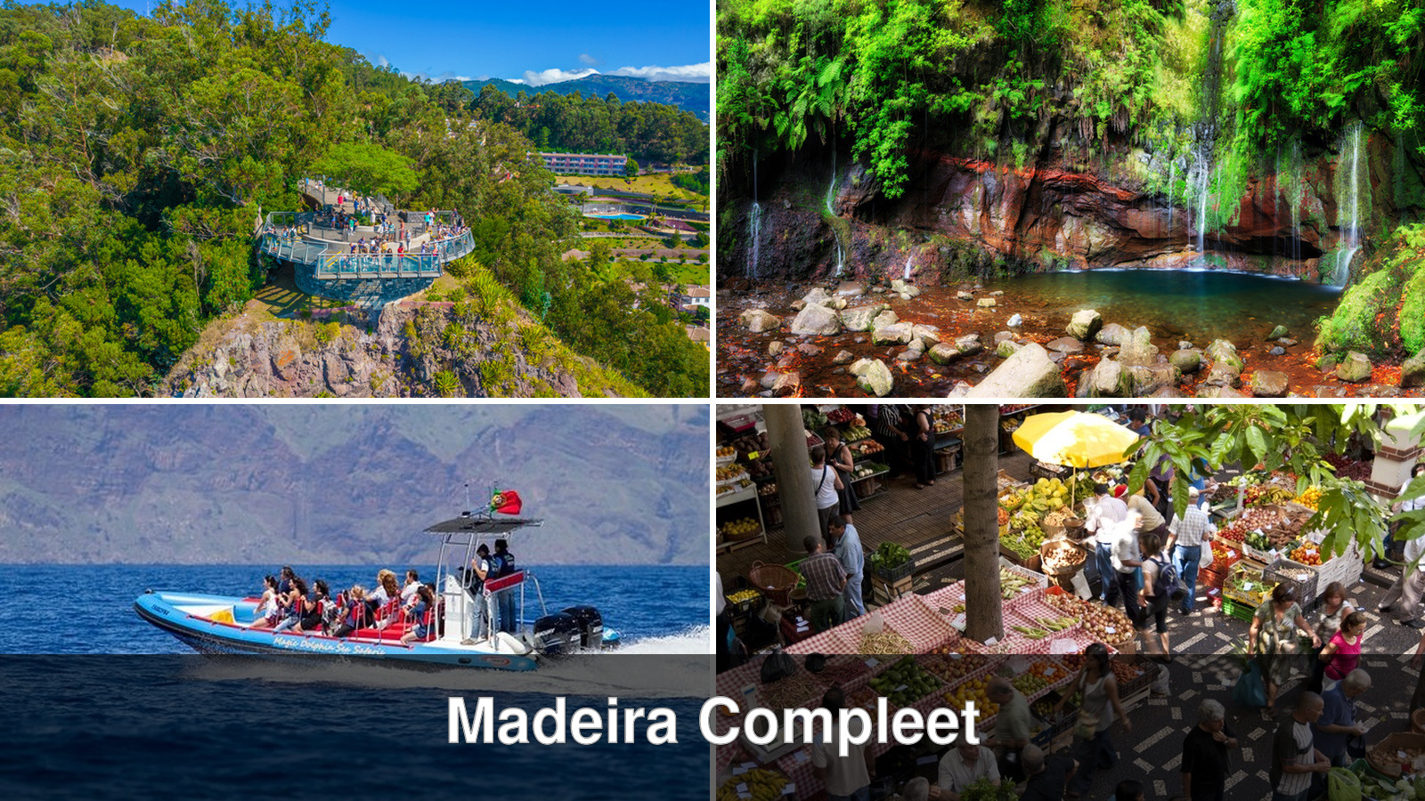 Collage van vier excursies uit het pakket Madeira Compleet