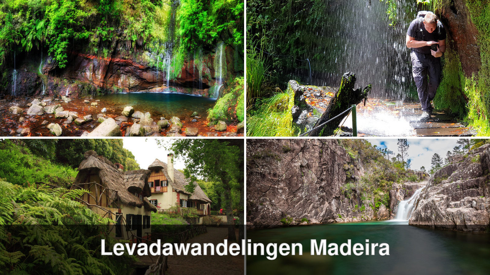 Collage van vier levadawandelingen op Madeira