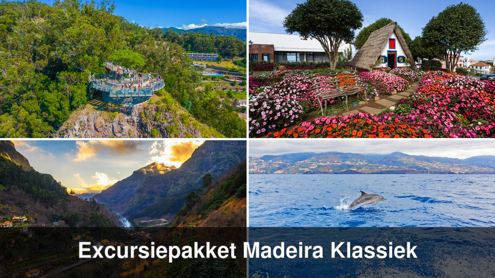 Collage van vier excursies uit het pakket Madeira Klassiek