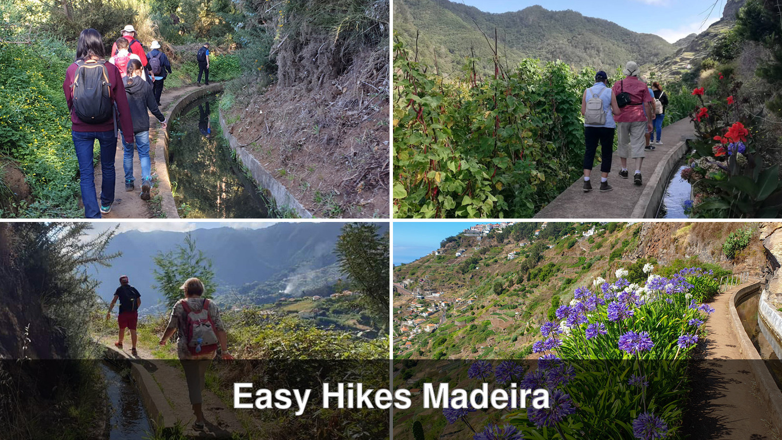Collage van vier gemakkelijke halve dag wandelingen op Madeira