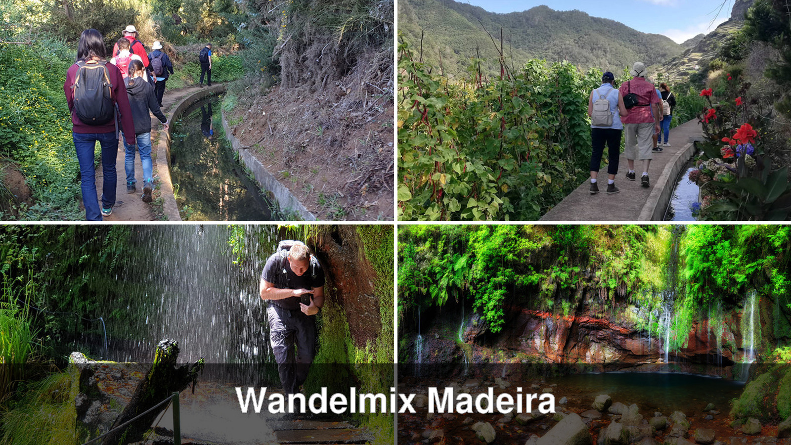 Collage van vier afwisselende wandelingen op Madeira